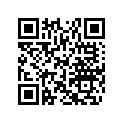 605348677 Runner Carbide