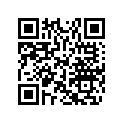 605350277 Console        *dash