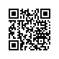 605351309 Shoe