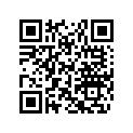 605352998 Decal Gt