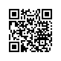 605355222 R.h. Bracket