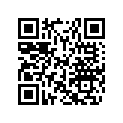 605448384 Plug