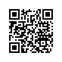 605450675 Plaque         *plate