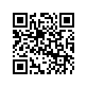 605452920 Douille        *spacer