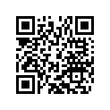 60702139100 Handle Gripheater