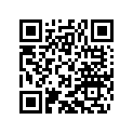 61005099006 Repair-kit
