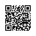 6102393 FTNK,XL,PRIME