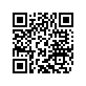61041088050 SHIM 4,3X15X1,25MM GALVANIZED