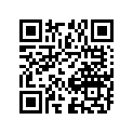 61100-40881 