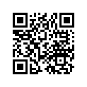 61101-313-030HX Stay, fr. *r25*