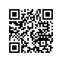 61101-317-000 Stay B