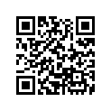 61104-K04-900 STAY, R. FR.