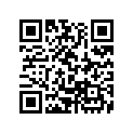 61105-K04-900 Stay, L. Fr.