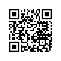 61112-91JL0 RUBBER,ENGLWR