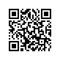 61236001000 GUIDE RAIL                  08