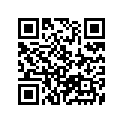 61300-24811-019 CHAIN CASE