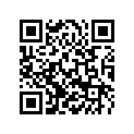 61310066000 MASTER LINK FOR CHAIN DID VAZ