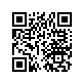 61311-313-000XW Stay, r. *mrcr2*