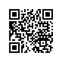 61311-331-670XW Stay, r. *mrcr2*