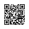 61312041300 MIRROR R/S