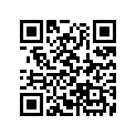 61313-MJ4-670 Stay, L. Fr.