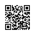 61319-MAW-760 STAY,METER