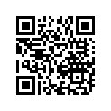 61341-01A00-000 Направляющая chain