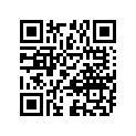 61341-30500-000 Направляющая chain