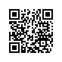 61508008032 Bump rubber