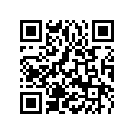 61604030010 Swing protective foil sw.