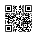 619000025 O Ring