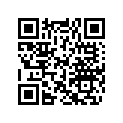 619230008 Dipstick