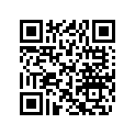 619300026 Bolt