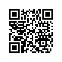 619400009 MIRROR KIT