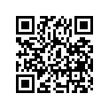 62210-41131 