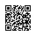 62211-41010 