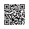 62505047000 THERMAL SHIELD              05