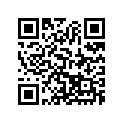 62508099000 Decal Set Orange         05-06
