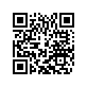 62511060000 DC HORN                     05