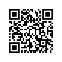 6268401D00X000 Шайба подшипник