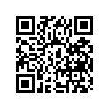 63110-16401 