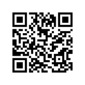 63110-28100 