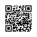 63110-32500-737 