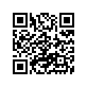 63110-47231 