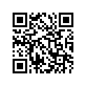 63111-41400-163 