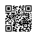 63331-24501 
