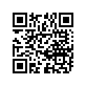 63333-24501 