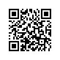 63513090000 Rear padsq