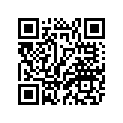63D-42677-P1-00 GRAPHIC, FRONT