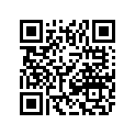 6411-246 DECAL,DOOR-UPR-RH (WILDCAT X PRO TAG)